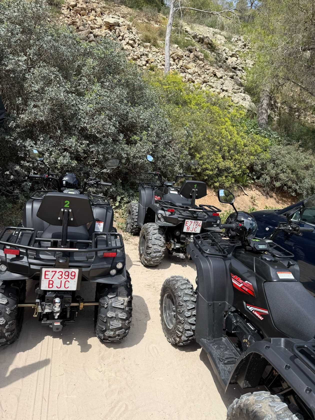 c5943c48-f3f0-47d5-a9b9-abcb5ebcfa9c-scaled